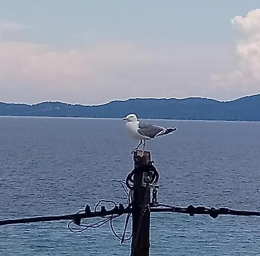 Diolkos Διαμέρισμα